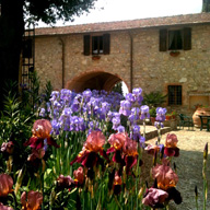 Accommodation in Tuscany :: Fattoria di Catignano
