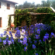 Accommodation in Tuscany :: Fattoria di Catignano