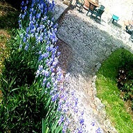 Accommodation in Tuscany :: Fattoria di Catignano