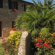 Accommodation in Tuscany :: Fattoria di Catignano
