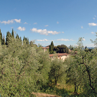 Accommodation in Tuscany :: Fattoria di Catignano