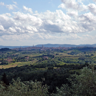 Accommodation in Tuscany :: Fattoria di Catignano